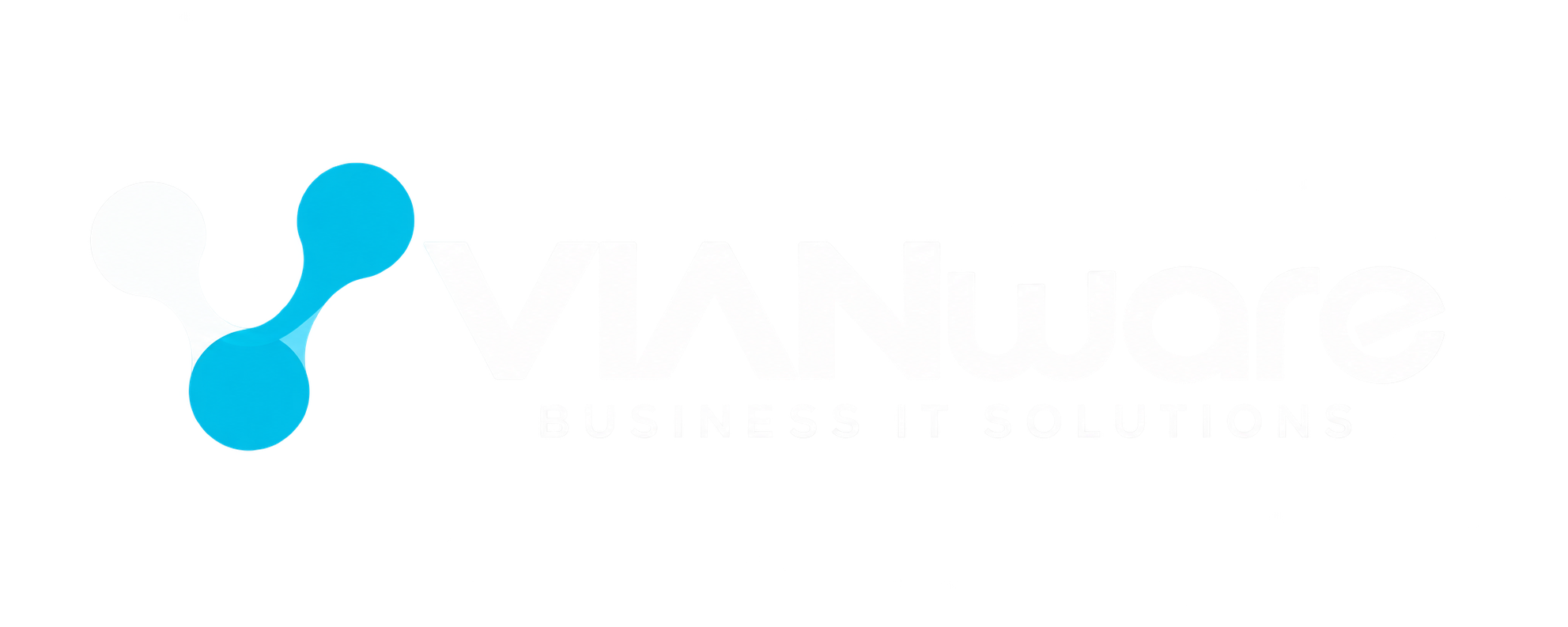 VIANware · Business IT Solutions